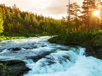 Shutterstock_156362567_river in Norway_upe Norvēģijā.jpg