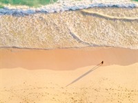 Shutterstock_2314238445_man walks alone on beach_vīrietis pastaigājas pa pludmali.jpg